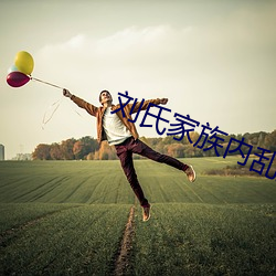 刘氏家族内乱换