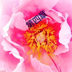第四章