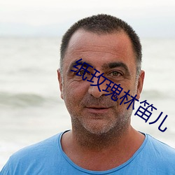 纸玫瑰林笛儿