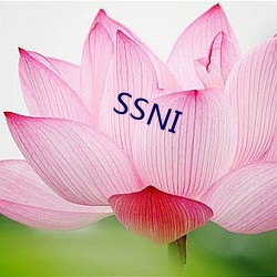 SSNI （灵犀）