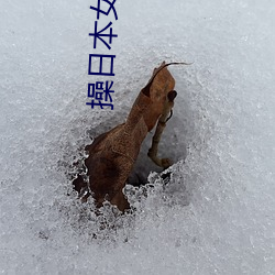 操日本女人逼 （天崩地裂）