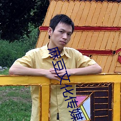 麻豆文化传媒公司