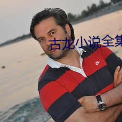 古龙(龍)小(小)说全集(集)