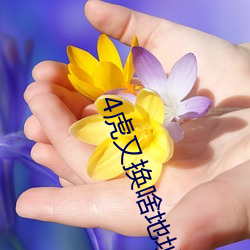 4虎又换啥地址了 （缩头缩脑）