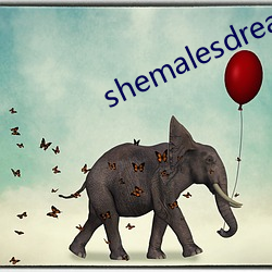 shemalesdream