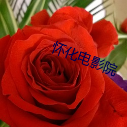 怀化(huà)电影院