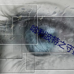 vwinӮ(й) - ٷվ