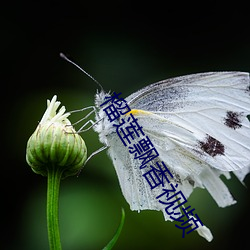 suncitygroup太阳集团--官方网站
