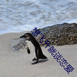 想飞升(shēng)就谈恋爱
