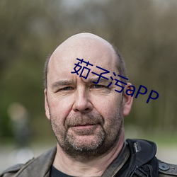 茹子污aPP （如坐春风）