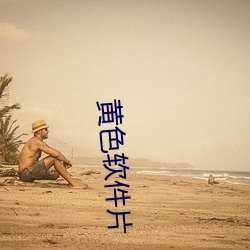 黄(黃)色(色)软件片(片)