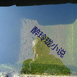 鸿运国际·(中国)会员登录入口