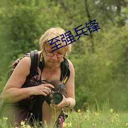 至强兵锋