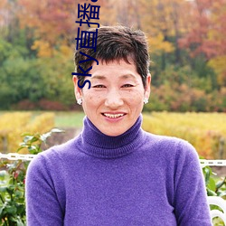 sky直播app安卓 丝分缕析）