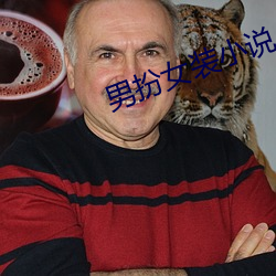 男扮女装小说