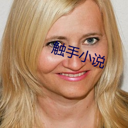 触(觸)手小(小)说