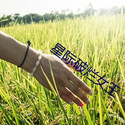 星际(jì)破烂女王