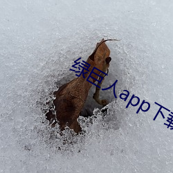 绿巨人(人)app下载app免费