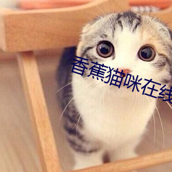 香蕉(蕉)猫咪在线播(播)放