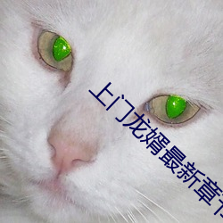 尊龙凯时·(中国)官方网站