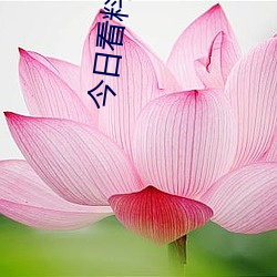 918博天堂·(中国)手机版客户端