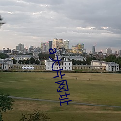 a大片网址