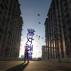 美女酒驾(駕)