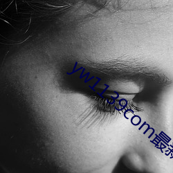 yw1139com最新跳轉接口p