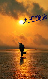 大王饶命小(xiǎo)说免(miǎn)费阅读(dú)