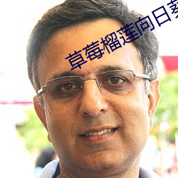 草莓榴蓮向日葵18免費