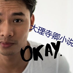 大理寺卿小說安妮薇