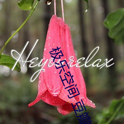 极乐空间 豆瓣 （换亲）