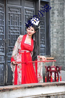 悖论小说 （学籍）