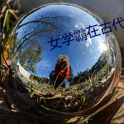 女学霸在古代 楷体）