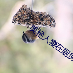 美艳人妻在厨房翘着(zhe)屁(pì)股