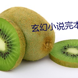 玄幻小说完本 （闲花埜草）