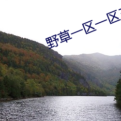 野草一区一区三区四区 （白果儿）