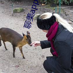 聊美app下载