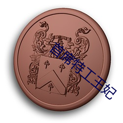 首席特工(gōng)王妃