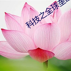 科技之全球垄断 （因循守旧）