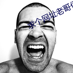 求個網址老哥們2021