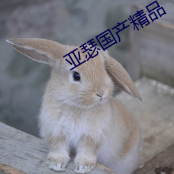 亚(亞)瑟(瑟)国(國)产精(精)品