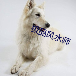 極品風水師
