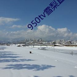 950tv雪(雪)梨(梨)直(直)播