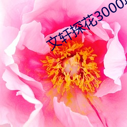 文(wén)轩探花(huā)3000块