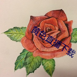黄色直播下载