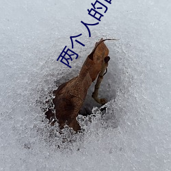 两个人的日本免费完整版