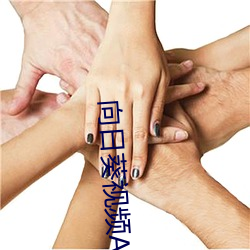 向日葵视频APP官方网站