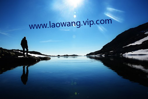 www.laowang.vip.com （断垣残壁）