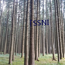 「SSNI